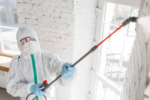 Best Mold Odor Removal Services  in Imperial, MO